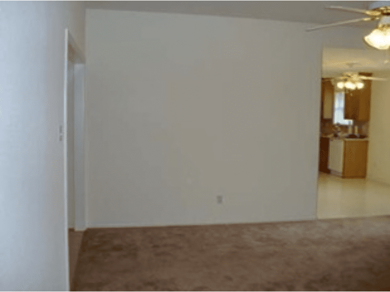 A small dog jumps excitedly on a brown carpet near a white wall.